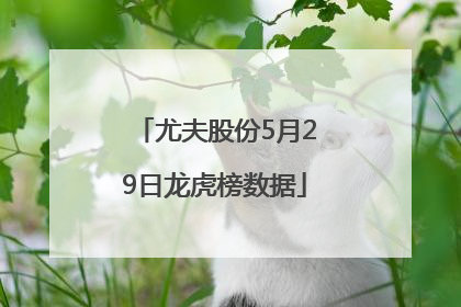 尤夫股份5月29日龙虎榜数据
