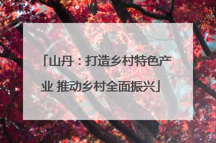 山丹：打造乡村特色产业 推动乡村全面振兴