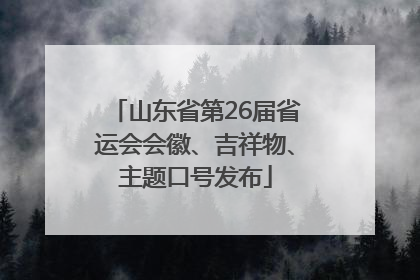 山东省第26届省运会会徽、吉祥物、主题口号发布