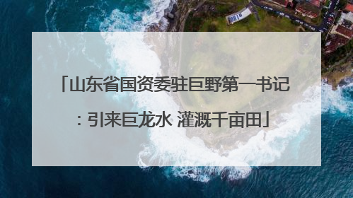山东省国资委驻巨野第一书记：引来巨龙水 灌溉千亩田