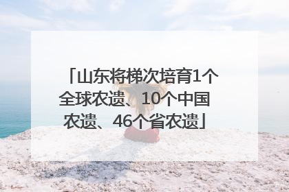 山东将梯次培育1个全球农遗、10个中国农遗、46个省农遗