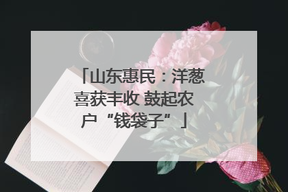 山东惠民：洋葱喜获丰收 鼓起农户“钱袋子”