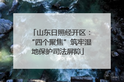 山东日照经开区：“四个聚焦”筑牢湿地保护司法屏障