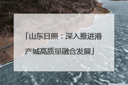 山东日照：深入推进港产城高质量融合发展