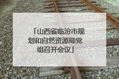 山西省临汾市规划和自然资源局党组召开会议