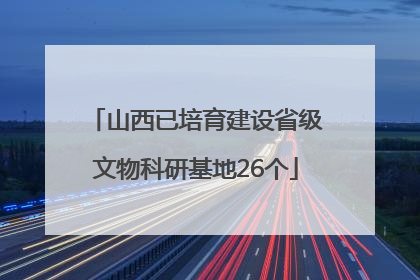 山西已培育建设省级文物科研基地26个