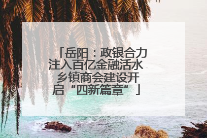 岳阳：政银合力注入百亿金融活水 乡镇商会建设开启“四新篇章”