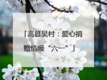 嵩县吴村：爱心捐赠情暖“六一”