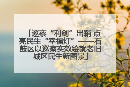 巡察“利剑”出鞘 点亮民生“幸福灯”——石鼓区以巡察实效绘就老旧城区民生新图景