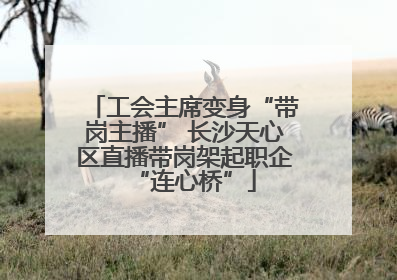 工会主席变身“带岗主播” 长沙天心区直播带岗架起职企“连心桥”