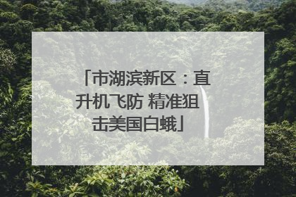 市湖滨新区：直升机飞防 精准狙击美国白蛾