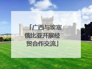 广西与埃塞俄比亚开展经贸合作交流
