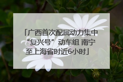 广西首次配属动力集中“复兴号”动车组 南宁至上海省时近6小时