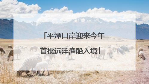 平潭口岸迎来今年首批远洋渔船入境