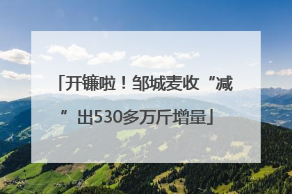 开镰啦！邹城麦收“减”出530多万斤增量