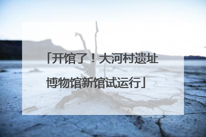 开馆了！大河村遗址博物馆新馆试运行