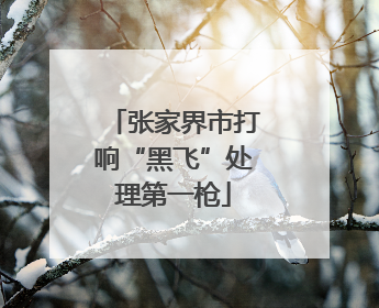 张家界市打响“黑飞”处理第一枪