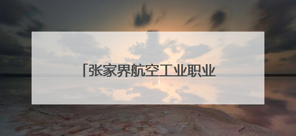 张家界航空工业职业技术学院举办2025年春季大型招聘会