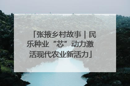 张掖乡村故事｜民乐种业“芯”动力激活现代农业新活力