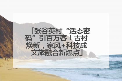 张谷英村“活态密码”引百万客！古村焕新，家风+科技成文旅融合新爆点