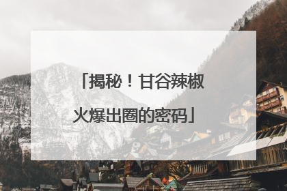 揭秘！甘谷辣椒火爆出圈的密码