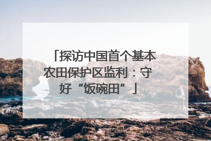 探访中国首个基本农田保护区监利：守好“饭碗田”