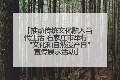 推动传统文化融入当代生活 石家庄市举行“文化和自然遗产日”宣传展示活动