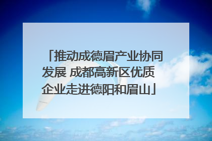 推动成德眉产业协同发展 成都高新区优质企业走进德阳和眉山