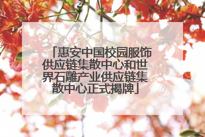 惠安中国校园服饰供应链集散中心和世界石雕产业供应链集散中心正式揭牌