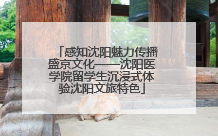 感知沈阳魅力传播盛京文化——沈阳医学院留学生沉浸式体验沈阳文旅特色