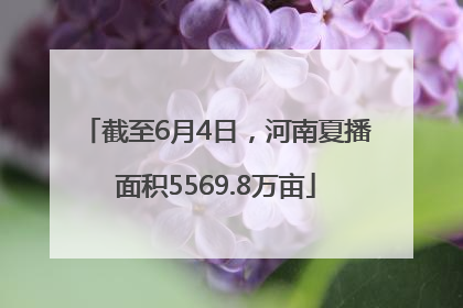 截至6月4日，河南夏播面积5569.8万亩