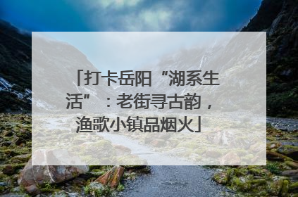 打卡岳阳“湖系生活”：老街寻古韵，渔歌小镇品烟火