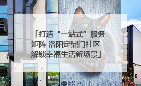 打造“一站式”服务矩阵 洛阳定鼎门社区解锁幸福生活新场景