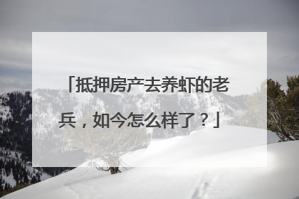 抵押房产去养虾的老兵，如今怎么样了？