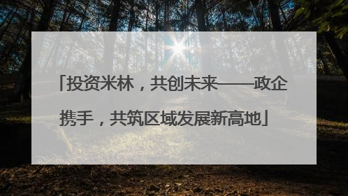 投资米林，共创未来——政企携手，共筑区域发展新高地