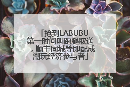抢到LABUBU第一时间叫跑腿取送，顺丰同城等即配成潮玩经济参与者