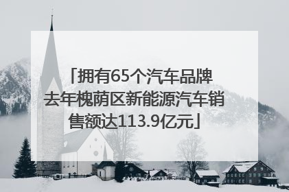 拥有65个汽车品牌 去年槐荫区新能源汽车销售额达113.9亿元
