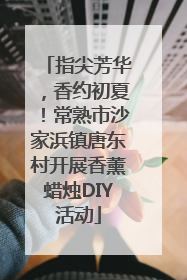 指尖芳华，香约初夏！常熟市沙家浜镇唐东村开展香薰蜡烛DIY活动