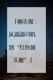 柳志强：从滴滴司机到“红色领头雁”