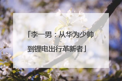 李一男：从华为少帅到锂电出行革新者