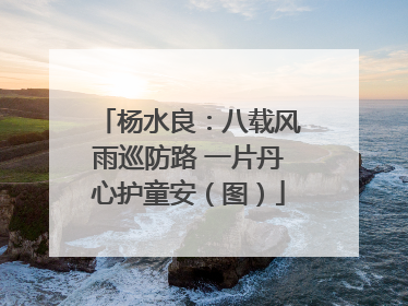 杨水良：八载风雨巡防路 一片丹心护童安（图）