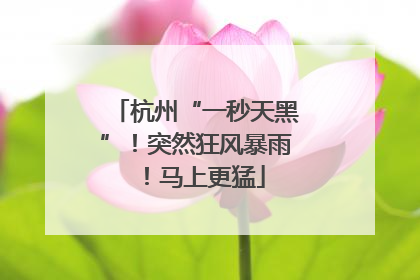 杭州“一秒天黑”！突然狂风暴雨！马上更猛