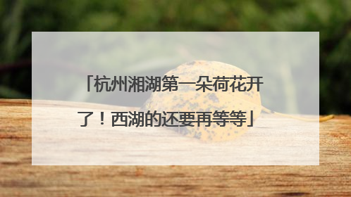 杭州湘湖第一朵荷花开了！西湖的还要再等等