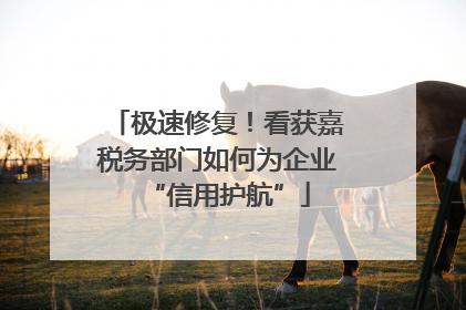极速修复！看获嘉税务部门如何为企业“信用护航”