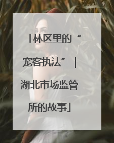 林区里的“宠客执法”｜湖北市场监管所的故事