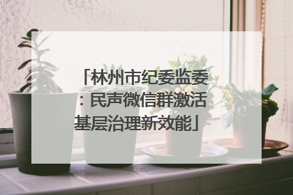 林州市纪委监委：民声微信群激活基层治理新效能
