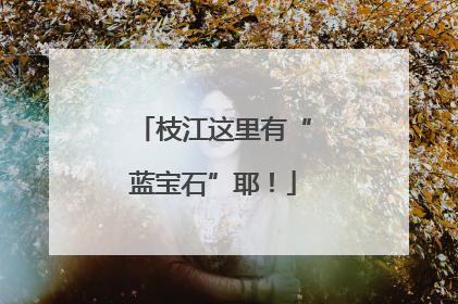 枝江这里有“蓝宝石”耶！