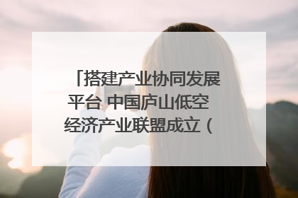 搭建产业协同发展平台 中国庐山低空经济产业联盟成立（组图｜视频）