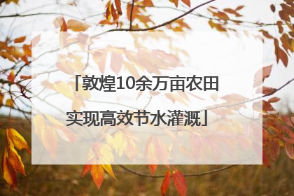 敦煌10余万亩农田实现高效节水灌溉
