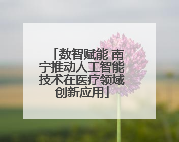 数智赋能 南宁推动人工智能技术在医疗领域创新应用